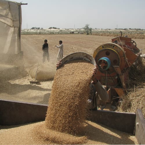 Punjab government has allowed flour mills in the province to purchase two million tons of wheat this year but ‘achieving this goal is a long way away.