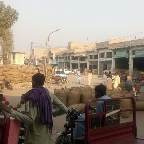 <p>بینک آف پنجاب  کی برانچیں دور ہونے کی وجہ سے کسان اپنی گندم آڑھتی کو فروخت کرنا چاہتے ہیں<br></p>