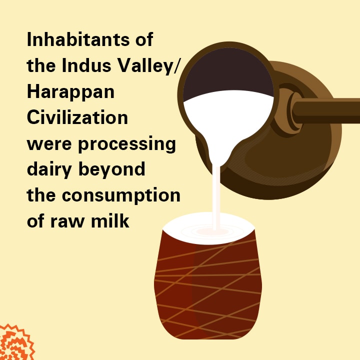 Our ancestral menu: Did people from the Indus Valley Civilization consume  meat and milk products?