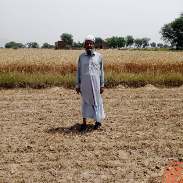 <div>Noor Mohammad's eight acres of fertile agricultural land will be affected by the rainwater drain.</div>