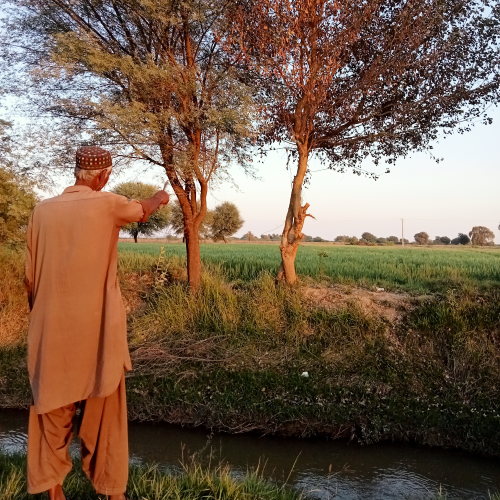 <p>Sajan Bheel pointing to the tree Krishna used to hang himself<br></p>